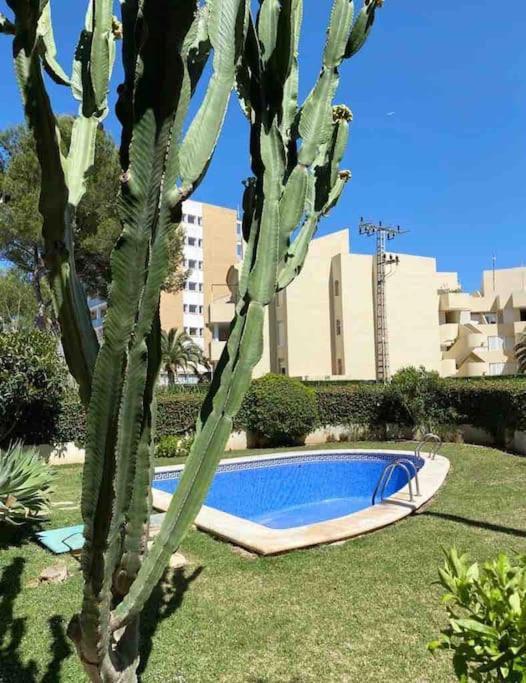 Apartamento El Canal Хавеа Экстерьер фото